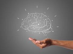 
      
      Study finds brain networks enable human conversation
      
      