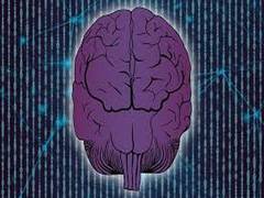 
      
      Networks in brain play crucial role in suicide risk: Study
      
      