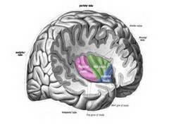
      
      Scientists use blood test to predict those likely to develop...
      
      