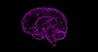 
      
      Sleep apnea may be linked to higher levels of Alzheimer's...
      
      