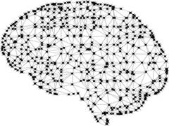 
      
      Brain networks enable human conversation: Study
      
      