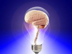 
      
      Gut-brain connection elucidates how overeating results in...
      
      