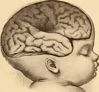 
      
      Childhood brain tumours survivors experience lasting...
      
      