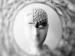 
      
      Study finds memory formation influenced by brain network...
      
      