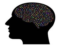 
      
      Study explains how brain balances pleasure and pain
      
      