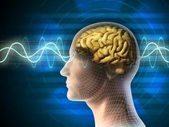 
      
      Study finds common chemicals in electronics, baby products...
      
      