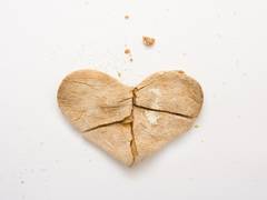 
      
      'Broken heart' syndrome may originate in the brain: Study
      
      