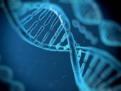 
      
      Researchers identify gene responsible for increased risk of...
      
      