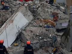 
    8 dead in Nigeria building collapse
    