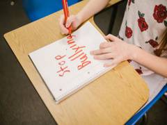 
      
      Sibling bullying can lead to poor mental health: Study
      
      