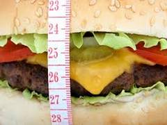 
      
      Obesity rates soar due to dramatic global diet shift: Report
      
      