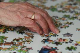 
      
      Playing puzzles makes brains of older adults sharper
      
      