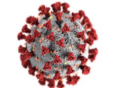 
      
      COVID-19 genetic risk variant protects against HIV, says study
      
      