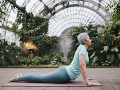 
    Study suggests moderate exercise program could improve cancer treatment outcomes
    