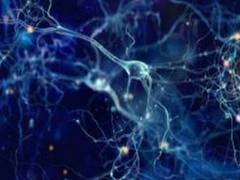 
      
      Nanoparticles create heat from light to manipulate electrical...
      
      
