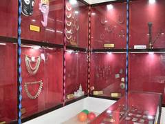 
      
      Hill Museum set up in Uttarakhand's Chamoli opens for public today
      
      