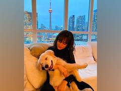 
      
      Camila Cabello notes what she wishes for in the New Year
      
      