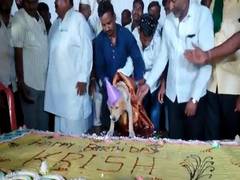 
      
      Karnataka man celebrates his dog's birthday by cutting 100kg cake
      
      