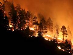 
      
      California wildfires: State's largest utility to shut off...
      
      