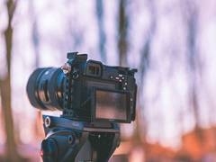 
      
      Film bodies to halt shooting of movies, TV shows amid...
      
      