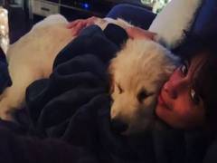 
      
      Camila Cabello channels pet love, reminds fans of being...
      
      