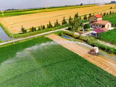
      
      Standard digital camera, AI to monitor soil moisture for...
      
      