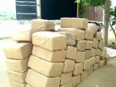 
      
      2 held with 690 kg cannabis in Visakhapatnam
      
      