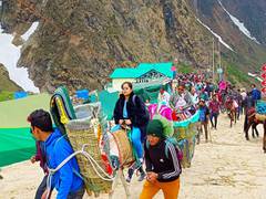 
      
      Environmentalists flag concerns over threat to U'khand's herbs
      
      