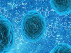 
      
      Parents' genes influence child's educational success: Study
      
      