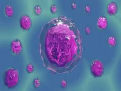 
      
      Two types of motion keep cells in shape: Study
      
      