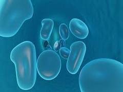 
      
      Body's nano-sized cells may potentially be used to treat...
      
      