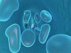 
      
      Study finds it takes cellular teamwork to heal intestine
      
      
