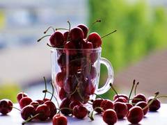 
      
      Eat less in early life to make reproduction easier later on
      
      