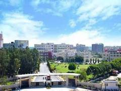
      
      Chitkara University launches 'India Innovation Championship -2021'
      
      