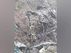 
      
      Indian Army chopper crashes in Bhutan, both pilots killed
      
      