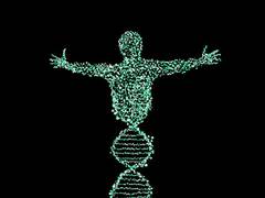 
      
      Stress in intestine influences chromosome inheritance: Study
      
      