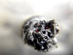 
      
      Marijuana use may not help parents relax
      
      