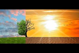
      
      Climate change could be reason for nimal-to-human disease...
      
      