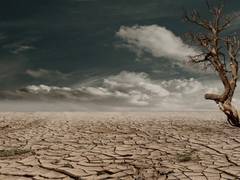 
      
      Decisive collective action could reduce migration due to...
      
      