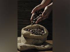 
      
      Cocoa flavanols boost brain oxygenation, cognition in healthy...
      
      