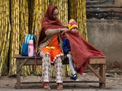 
    Cold wave conditions to prevail in Punjab, Haryana and Uttrakhand for next 24 hrs: IMD
    