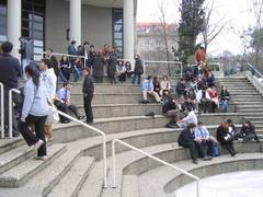 
      
      International students should leave US or face immigration...
      
      