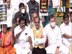 
      
      Rahul Gandhi stages protest at Vijay Chowk against fuel price hik
      
      