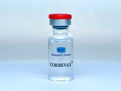 
      
      DCGI approves Corbevax as first heterologous COVID-19 booster
      
      