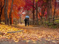 
      
      Study finds nature helps people cope with body image issues
      
      