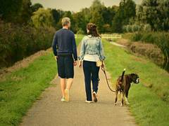 
      
      Study finds brain can multitask while walking
      
      