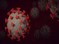 
      
      Current anti-COVID pills work well against Omicron, antibody...
      
      