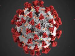 
      
      Pakistan reports over 100 COVID-19 fatalties for first time...
      
      