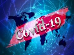 
      
      Scientists map immune system's response to COVID-19
      
      