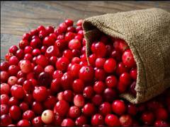 
      
      Cranberries can improve cardiovascular health
      
      